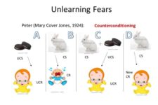 Figure 2.8 – Fundamentals Of Psychological Disorders