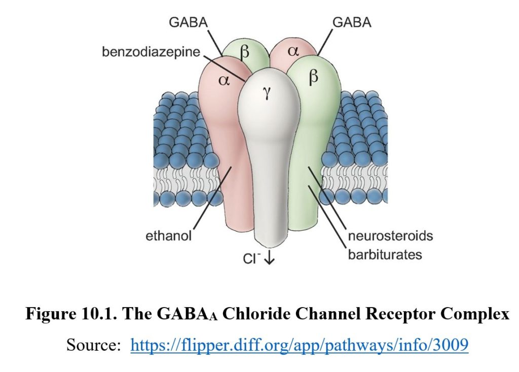 Chapter 10: CNS Depressants – Drugs and Behavior