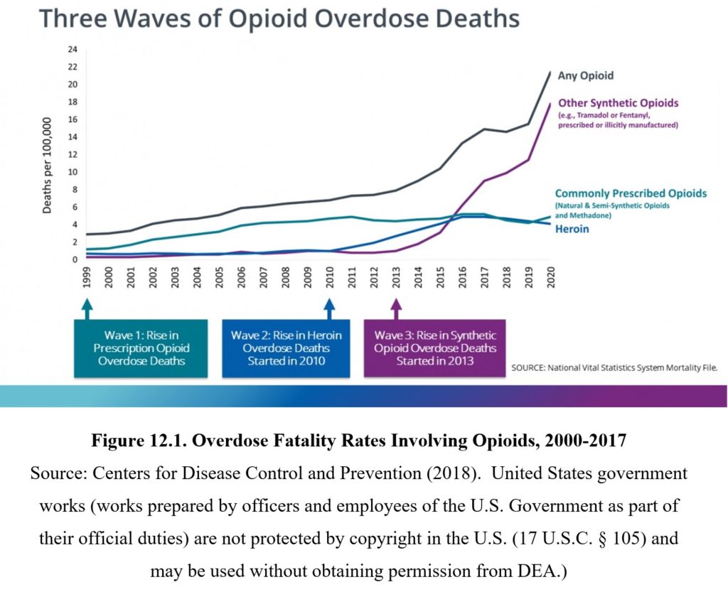 Chapter 12: Opioids – Drugs And Behavior