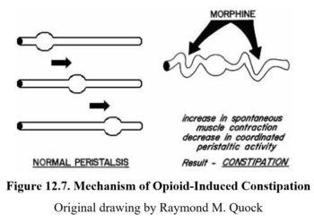 Chapter 12: Opioids – Drugs And Behavior