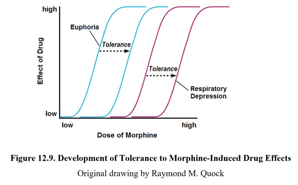 Chapter 12: Opioids – Drugs And Behavior