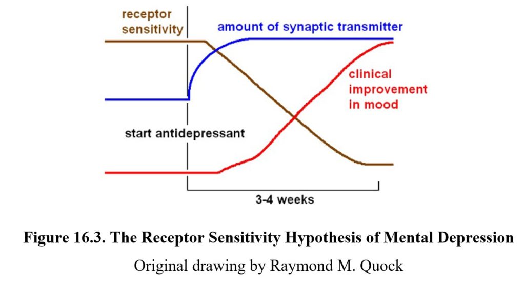 receptor sensitivity hypothesis of depression