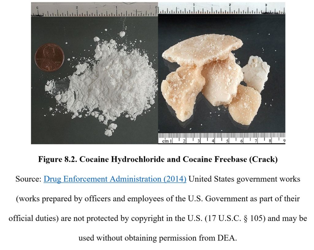 Chapter 8: High-Efficacy Stimulants – Drugs And Behavior