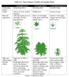 Chapter 13: Cannabinoids – Drugs and Behavior