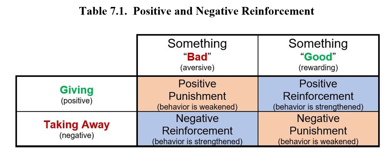 reinforcement and punishment examples