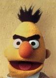 Photograph of Bert from Sesame Street