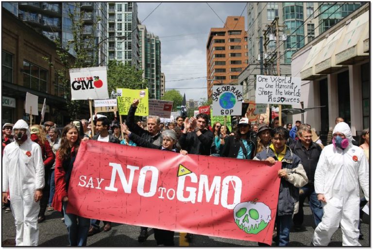 Gmos The Human Geography Of A Global Food Fight - xzkl1xn