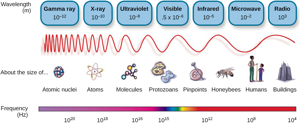 what-are-the-longest-and-shortest-visible-electromagnetic-waves-that