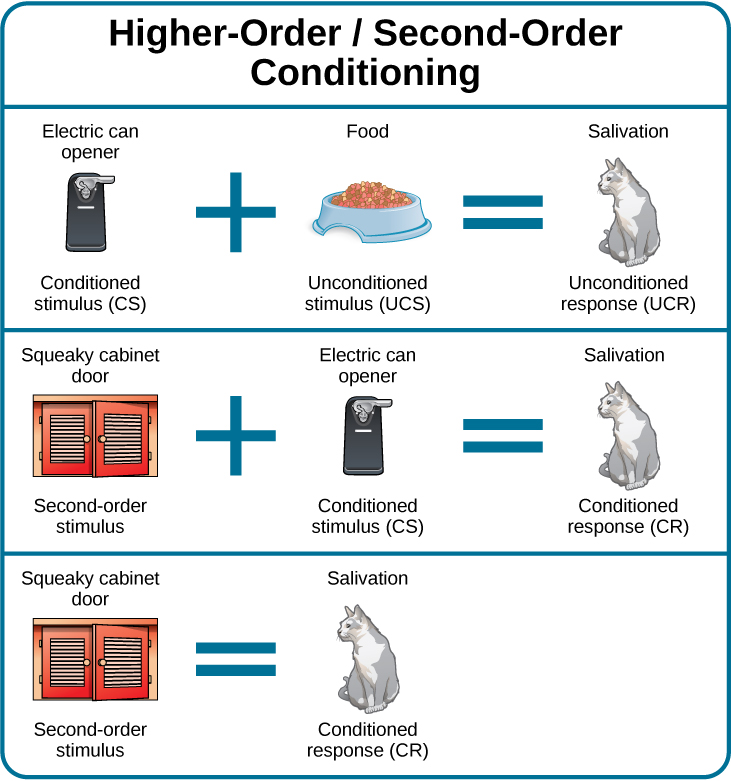 Classical Conditioning OpenStax Psychology Revisions