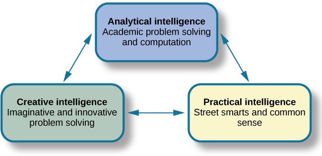 Three boxes are arranged in a triangle. The top box contains “Analytical intelligence; academic problem solving and computation.” There is a line with arrows on both ends connecting this box to another box containing “Practical intelligence; street smarts and common sense.” Another line with arrows on both ends connects this box to another box containing “Creative intelligence; imaginative and innovative problem solving.” Another line with arrows on both ends connects this box to the first box described, completing the triangle.