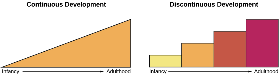 what-is-lifespan-development-openstax-psychology-revisions