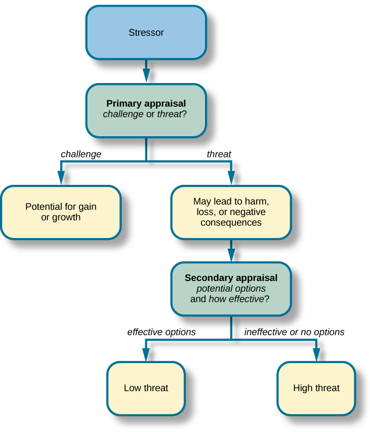 What Is Stress OpenStax Psychology Revisions