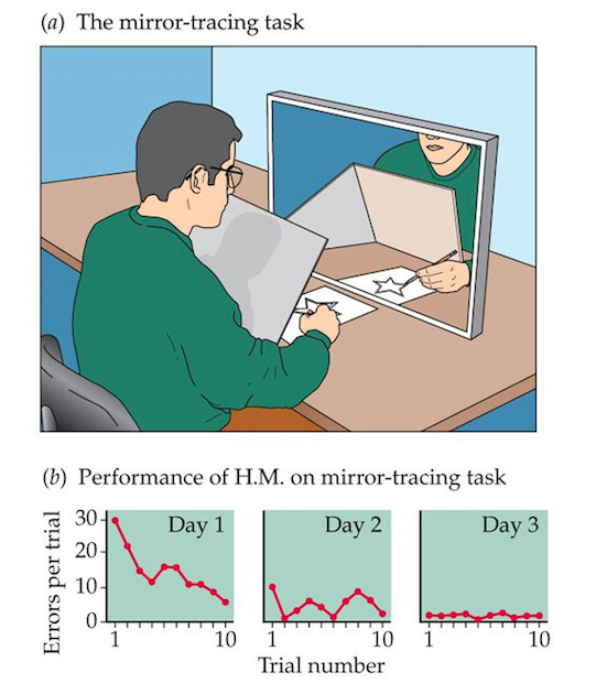 8 1 How Memory Functions Introductory Psychology