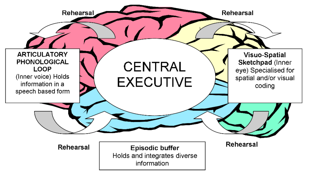 8.1 How Memory Functions Introductory Psychology