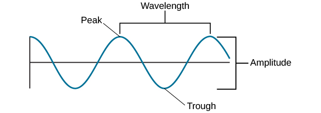 A diagram illustrates the basic parts of a wave. Moving from left to right, the wavelength line begins above a straight horizontal line and falls and rises equally above and below that line. One of the areas where the wavelength line reaches its highest point is labeled “Peak.” A horizontal bracket, labeled “Wavelength,” extends from this area to the next peak. One of the areas where the wavelength reaches its lowest point is labeled “Trough.” A vertical bracket, labeled “Amplitude,” extends from a “Peak” to a “Trough.”