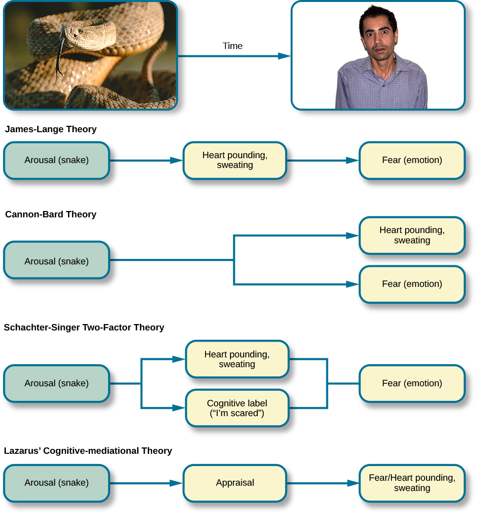 Emotion Psychology