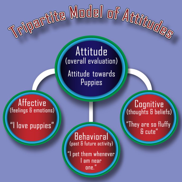 Example Of Attitude Test In Psychology