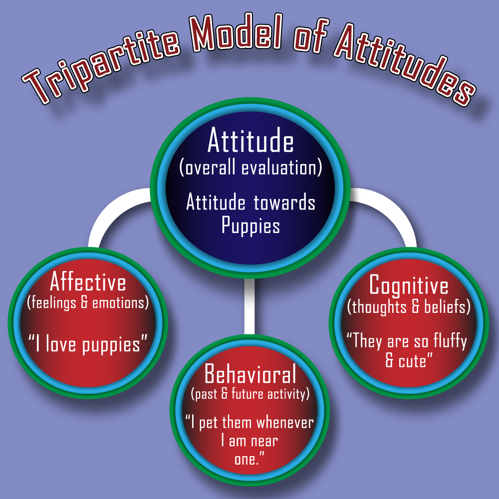 Module 5: Attitudes – Principles of Social Psychology