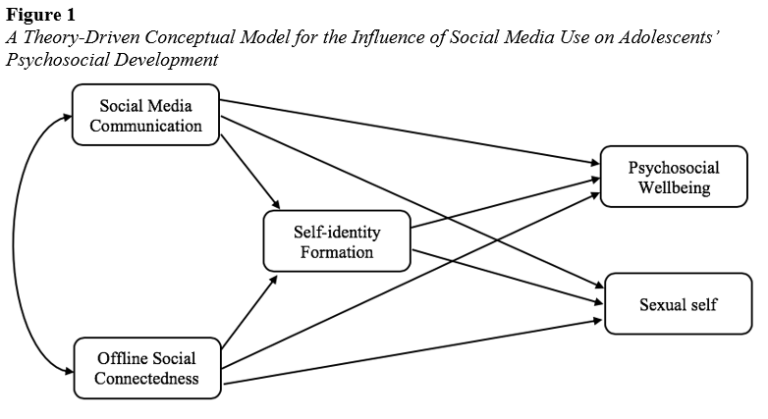 Psychosocial Development And Social Media Use Theory – Theoretical ...